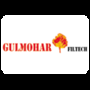 Gulmohar Fil-Tech Private Limited