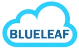 Blueleaf Cyberspace Systems Private Limited