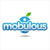 Mobulous Technologies Private Limited