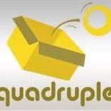 Quadruple Business Services Private Limited