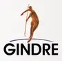 Gindre India Components Private Limited