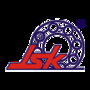 Jsk Bearings Company Private Limited