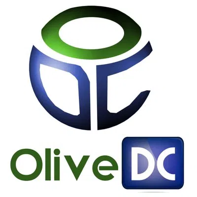 Olive Data Centre Private Limited
