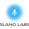 Slang Labs Private Limited