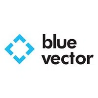 Blue Vector Consulting Private Limited