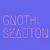 Gnothi Seauton Advisors Llp