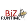 Bizruntime It Services Private Limited