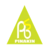 Pinakin Business Solutions Private Limited