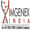 Imgenex India Private Limited