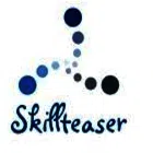 Skillteaser Technologies Private Limited