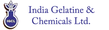 India Gelatine And Chemicals Ltd