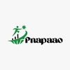 Pnapaao Private Limited