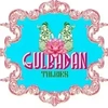 Gulbadan Talkies Private Limited