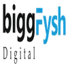 Biggfysh Digital Media Solutions Private Limited image