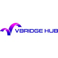 Vbridge Hub Private Limited
