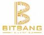 Bitbang Enterprises Llp