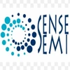 Sensesemi Technologies Private Limited