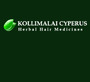 Kollimalai Cyperus Private Limited