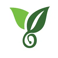 Creative Sprout Media Private Limited