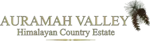 Auramah Valley Heli Services Private Limited