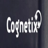 Cognetix (India) Private Limited