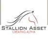 Stallion Asset Private Limited