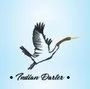 Darter Fashion Private Limited