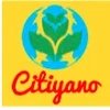 Citiyano De Solutions Private Limited