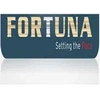 Fortuna Auto Private Limited