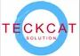 Teckcat Network Solutions Private Limited