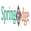 Springedge Technologies Private Limited