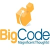 Bigcode Games Private Limited