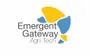 Emergent Gateway Consulting Llp