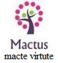 Mactus Technology Solutions Llp