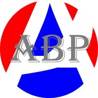 Abp Management Services Private Limited