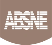 Absne Private Limited
