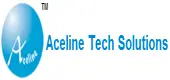 Aceline Tech Solutions Private Limited