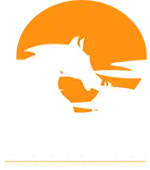 Adhwaitha Web Consultancy Services Private Limited