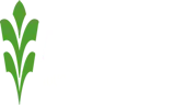 Afri Ventures (India) Private Limited