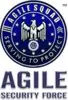 Agile Security Force & Systems Private Limited