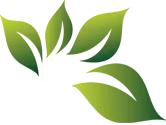 Ahmc Healthcare Private Limited