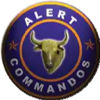Alert Commandos Private Limited
