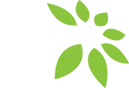 Allianceit And Css Private Limited