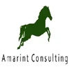 Amarint Consulting Private Limited