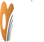 American Vitamins India Private Limited