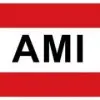 Ami India Logistics Private Limited