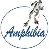 Amphibia Consultants Private Limited