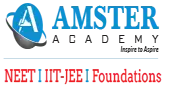 Amster Academy Private Limited
