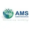 Ams Human Resources Private Limited