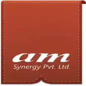Am Synergy Private Limited